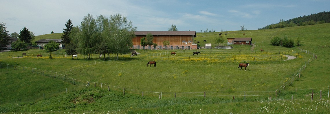 Pferdepension Buechberg